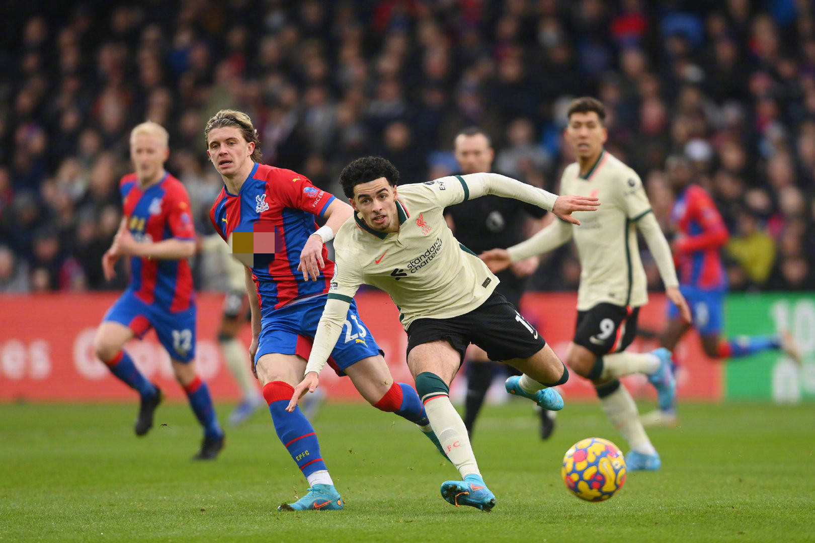 体实力的发 体实力的发