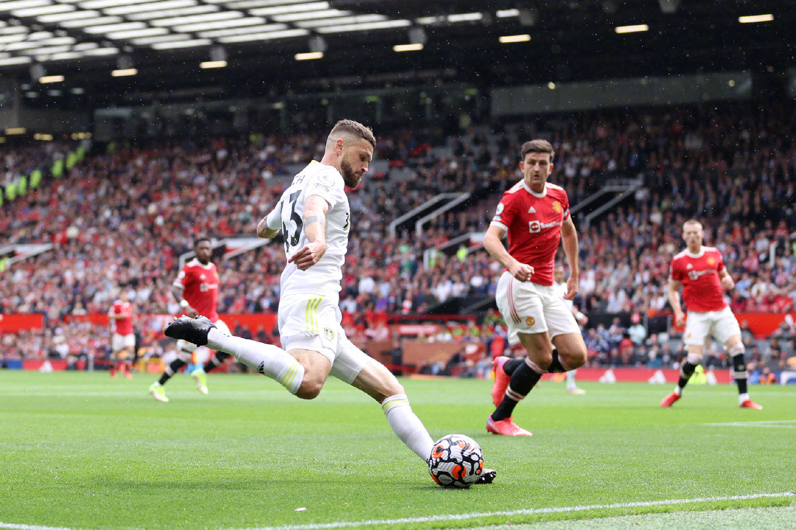 借或将成为 借或将成为